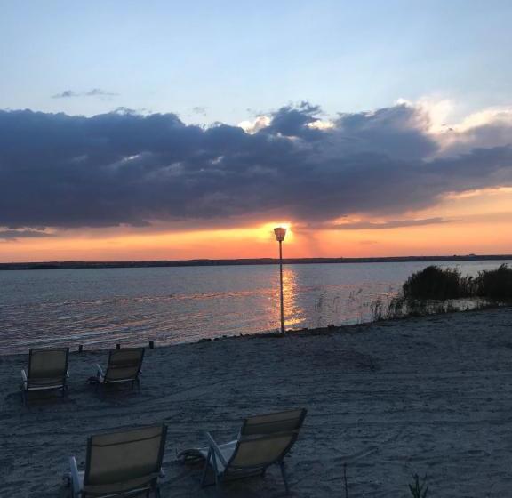 فندق Scandinavia Mamaia