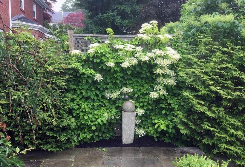 The Pebble Bed And Breakfast