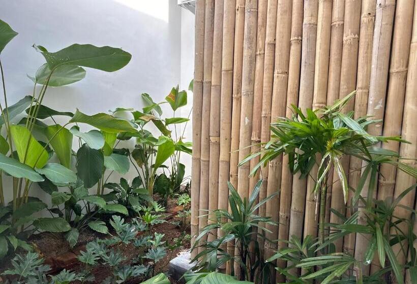 הוסטל Ijen Haus