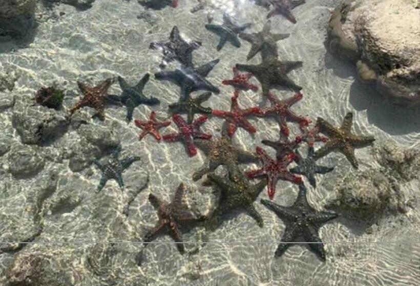 膳宿费 Baha Nest Lodge