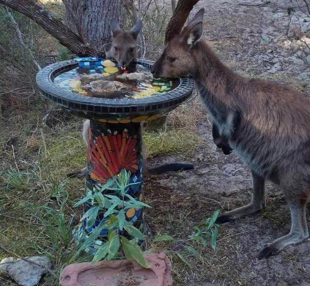 膳宿费 Island Alive Guest House