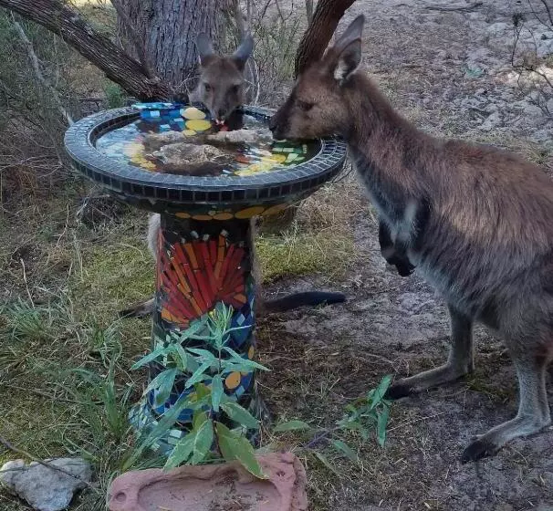 ペンション Island Alive Guest House