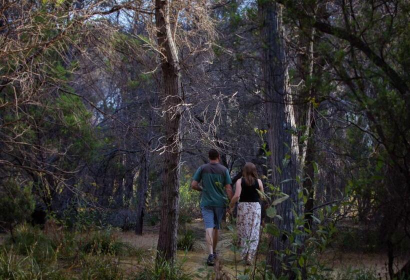 膳宿费 Island Alive Guest House