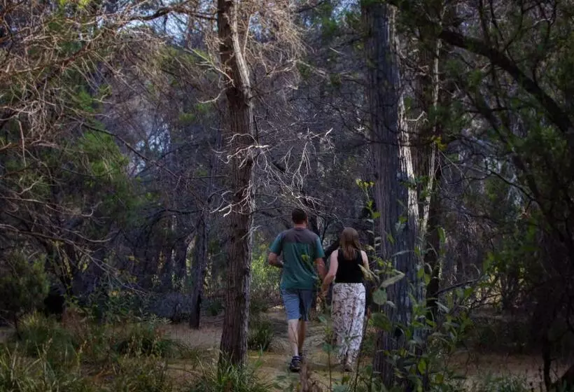 ペンション Island Alive Guest House