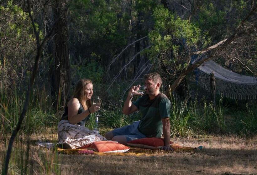 膳宿费 Island Alive Guest House