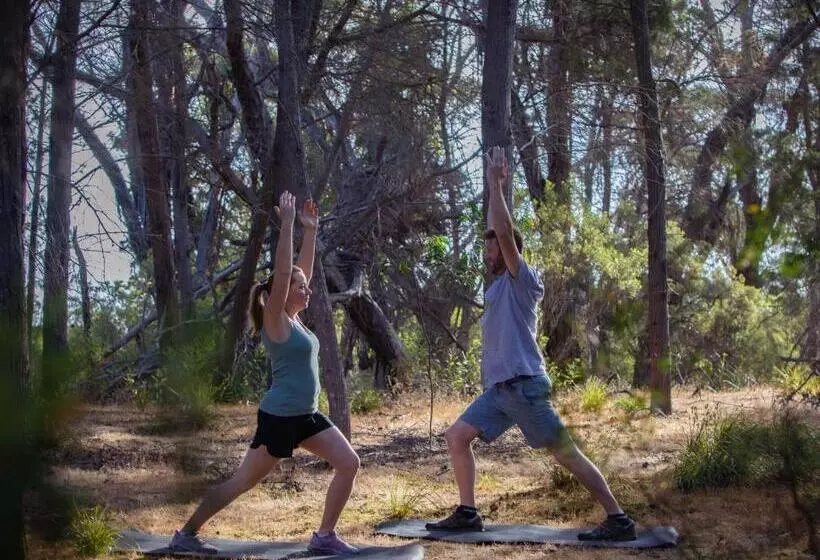 ペンション Island Alive Guest House