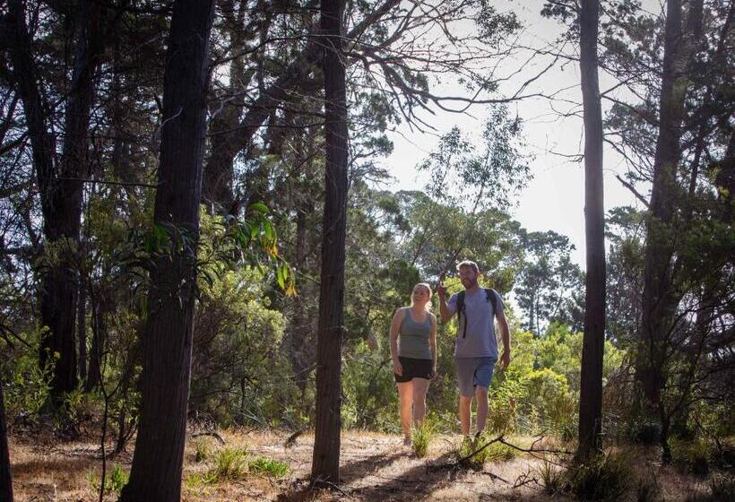 膳宿费 Island Alive Guest House