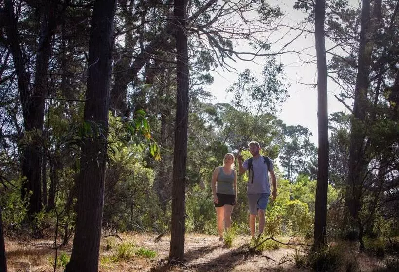 ペンション Island Alive Guest House