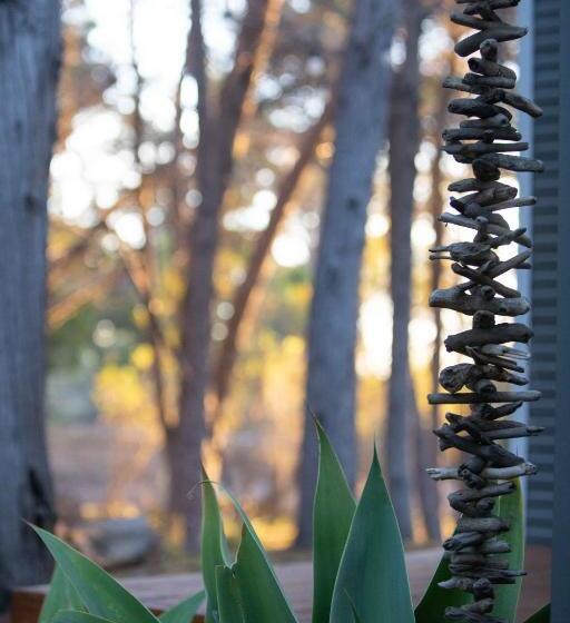 膳宿费 Island Alive Guest House