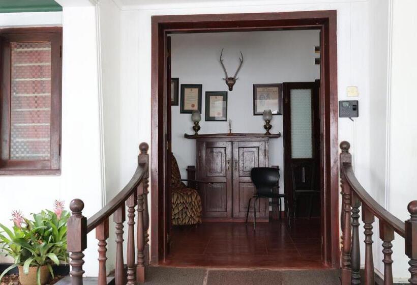 بنسيون Ronan Residency