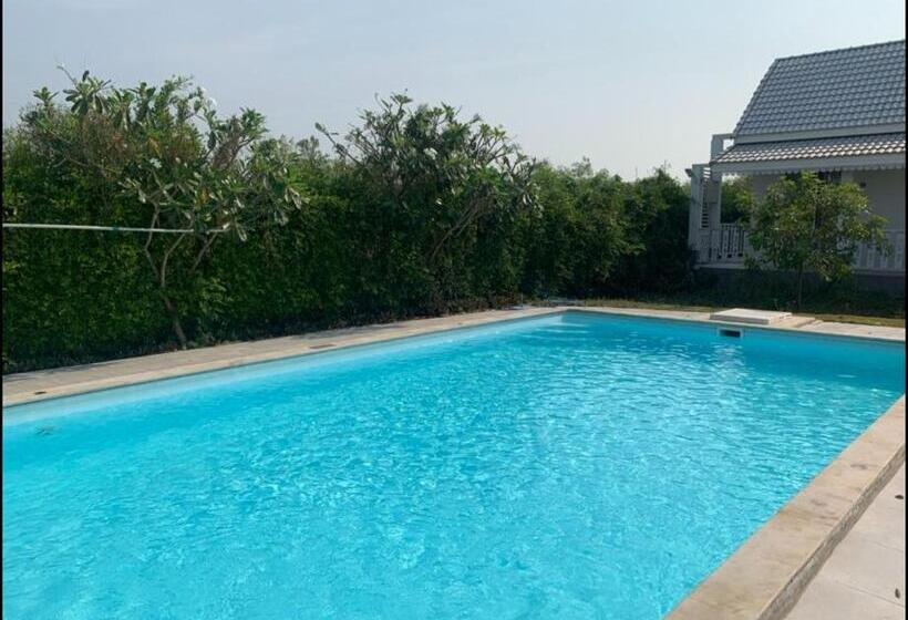 Bed and Breakfast Homestay Apartments