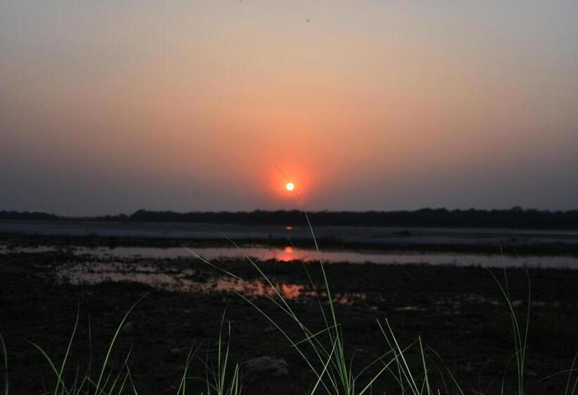 Cultural Village Resort