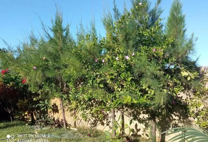 ペンション Casa Hóspedes Dferiasicaraizinho