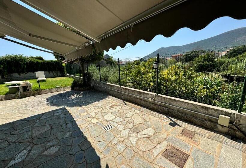 膳宿费 L 11 Affittacamere