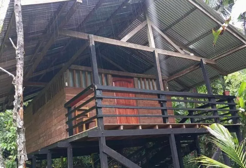 ユースホステル Posada Madre Tierra