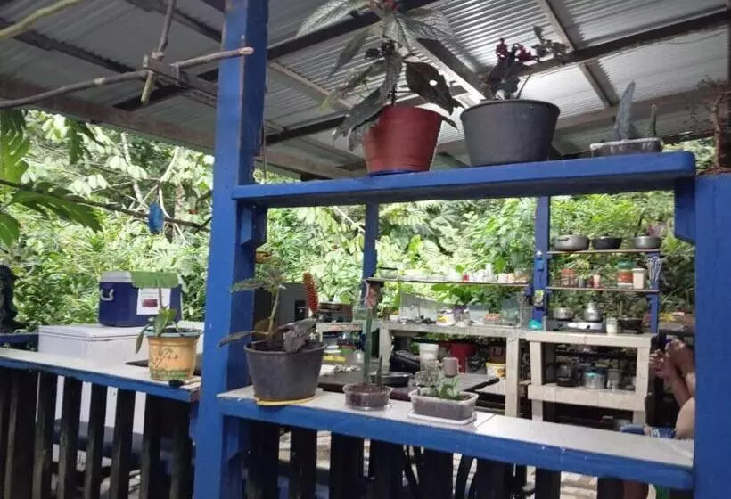 ユースホステル Posada Madre Tierra