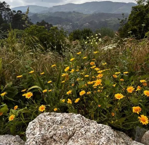 Aamiaismajoitus (B&B) Qg Quinta De Grovelas