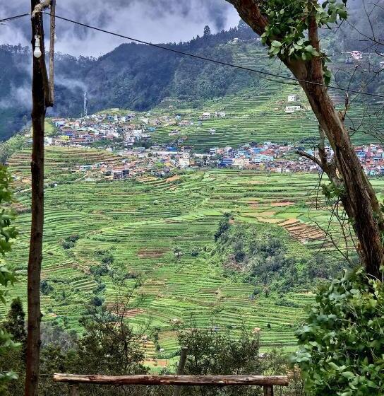 מלון כמוסות Wrongturnclub Hilltop Adventure Stay