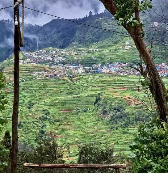 Kapselihotelli Wrongturnclub Hilltop Adventure Stay