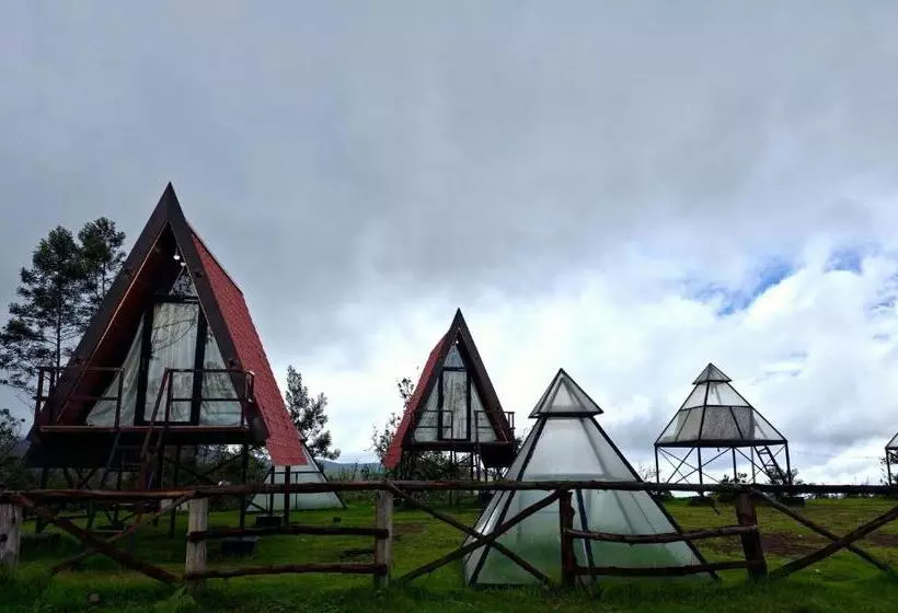 Kapselihotelli Wrongturnclub Hilltop Adventure Stay