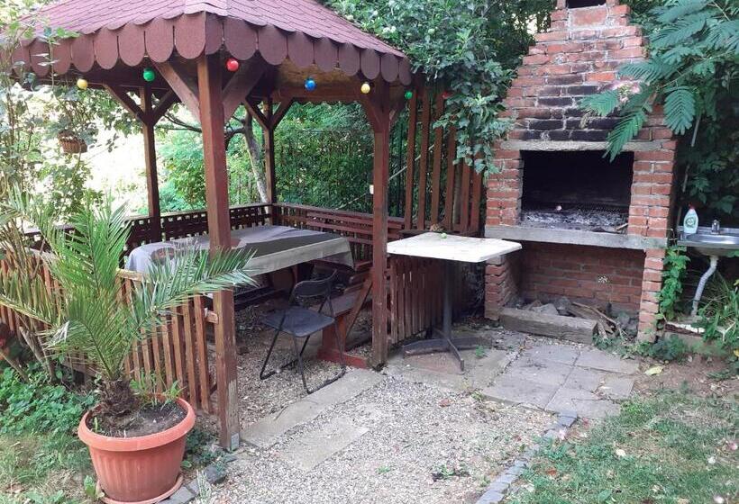 هتل Pensiunea Floriana