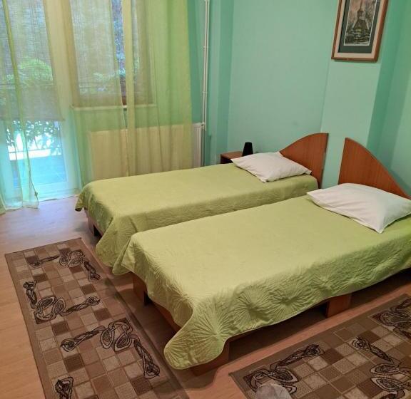 هتل Pensiunea Floriana