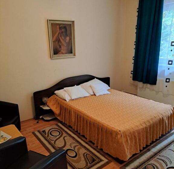 هتل Pensiunea Floriana