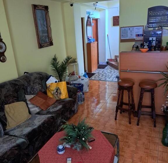 هتل Pensiunea Floriana