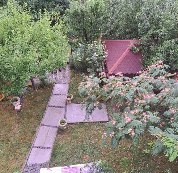 هتل Pensiunea Floriana