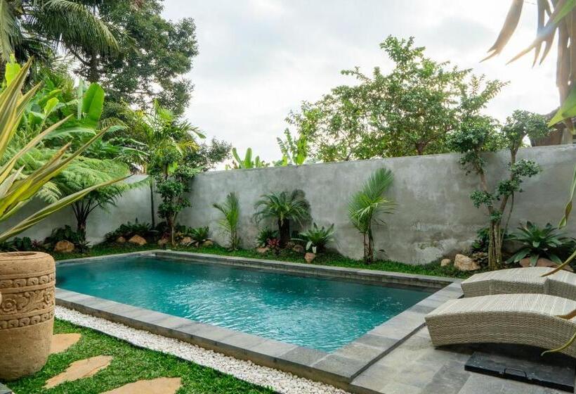 膳宿费 Baran Swaha Villa