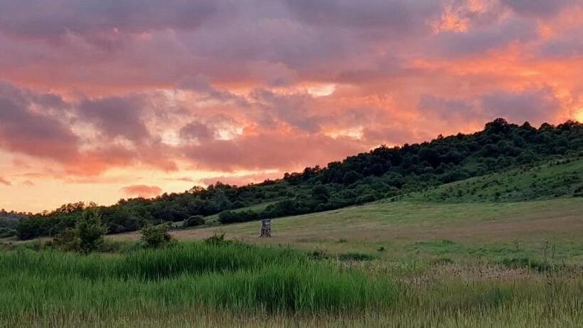 بنسيون Darazsik Pihenőpark