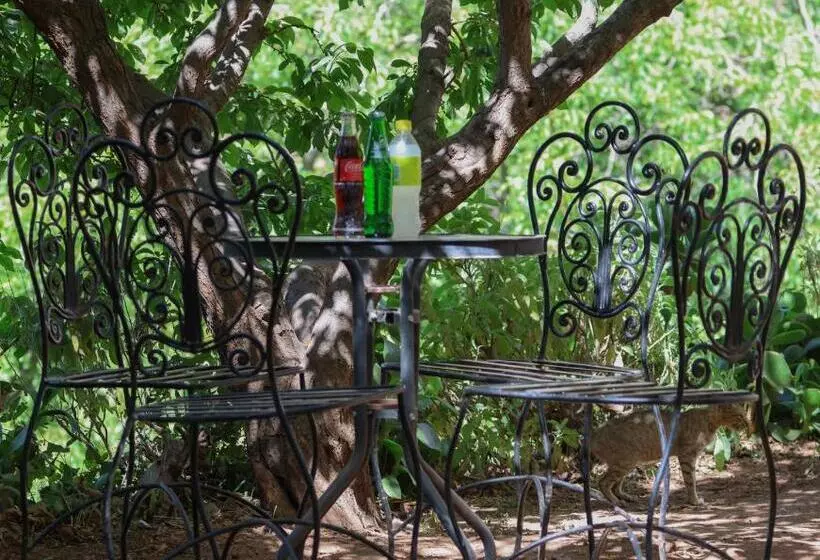 Majatalo Gite Gougadir Imoughlad