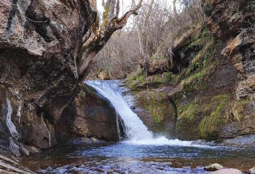 Пансион Hostal Cholo