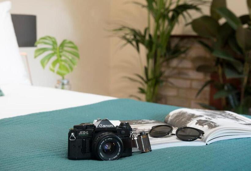 Alberg Wilson House   Camden