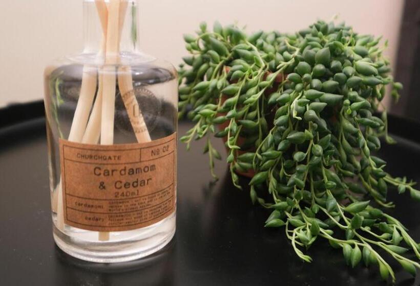 Alberg Wilson House   Camden