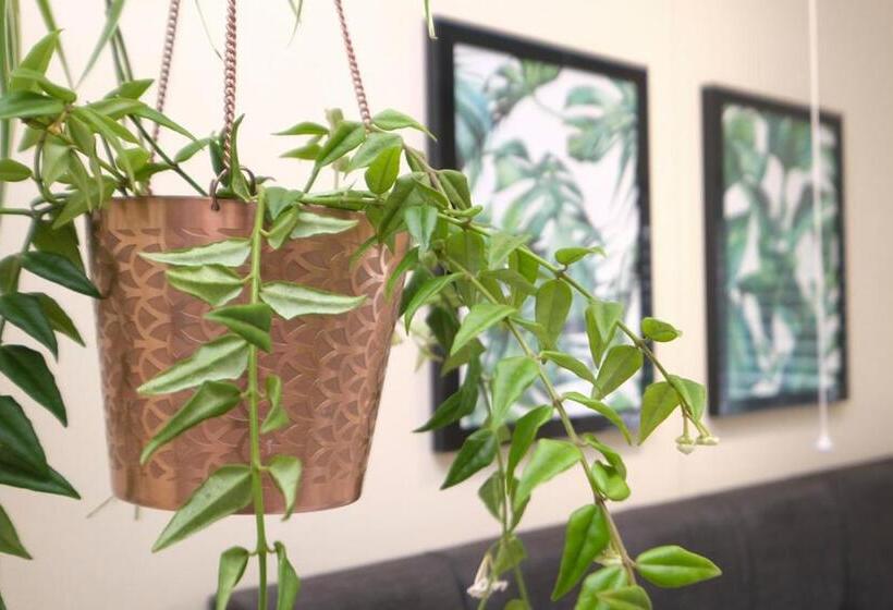 Alberg Wilson House   Camden