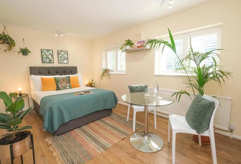 Alberg Wilson House   Camden