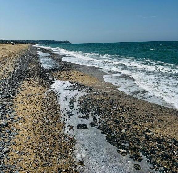 בית מלון כפרי İstanbul Airport Black Sea