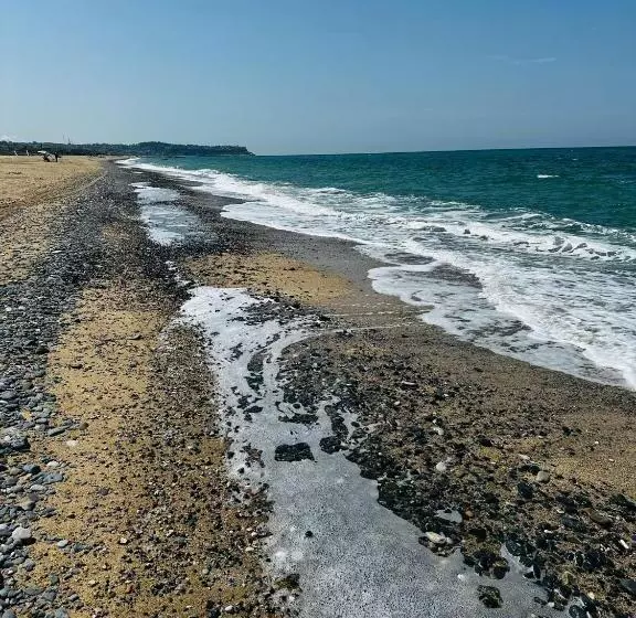ホテル İstanbul Airport Black Sea
