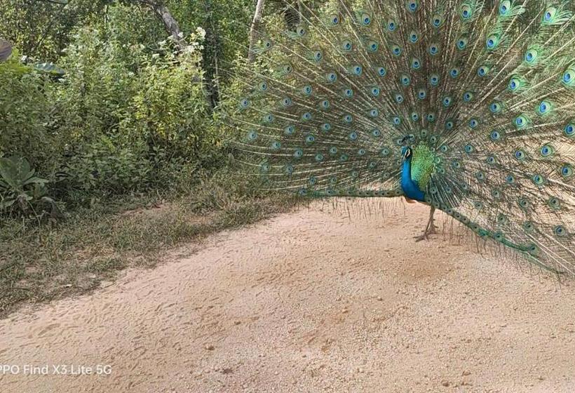 Hôtel The Grandiose Safari