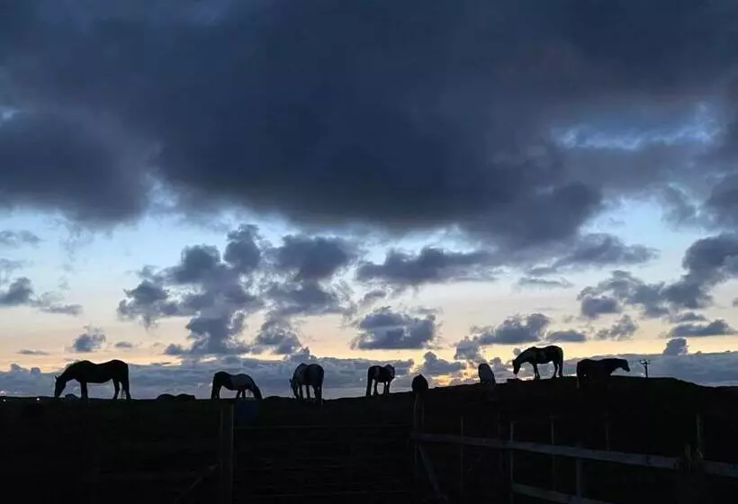 ベッドアンドブレックファースト Forgebraehead, North Shawbost