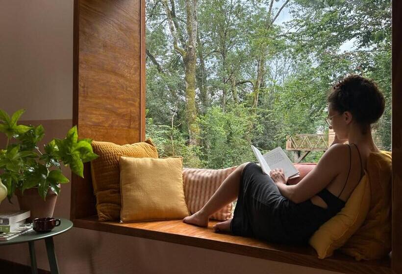 Bed and Breakfast Micro Palaces