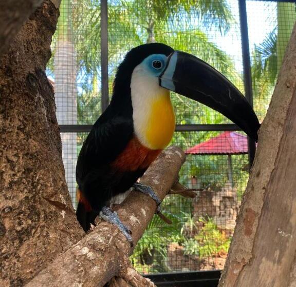 Denen Resort&minizoo