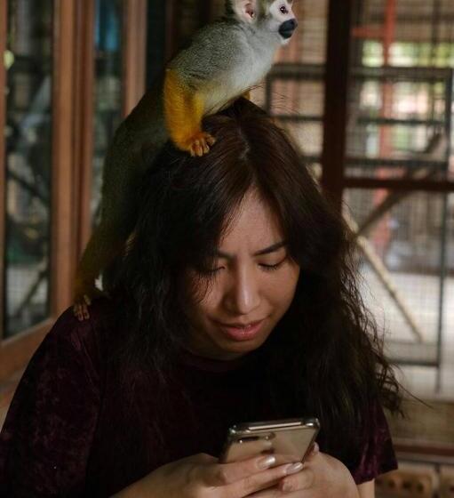 Denen Resort&minizoo