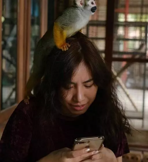 Denen Resort&minizoo