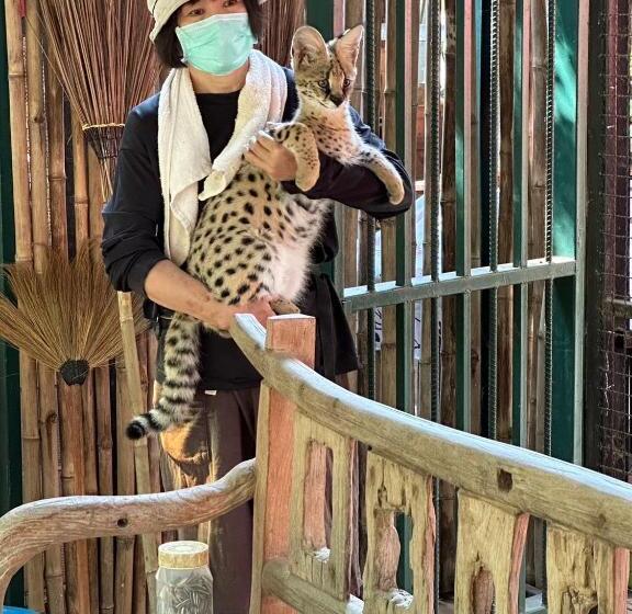 Denen Resort&minizoo