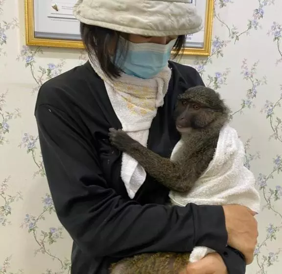 Denen Resort&minizoo