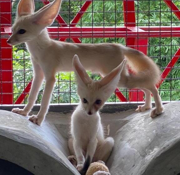 Denen Resort&minizoo