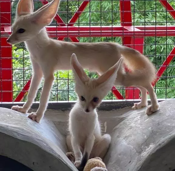 Denen Resort&minizoo