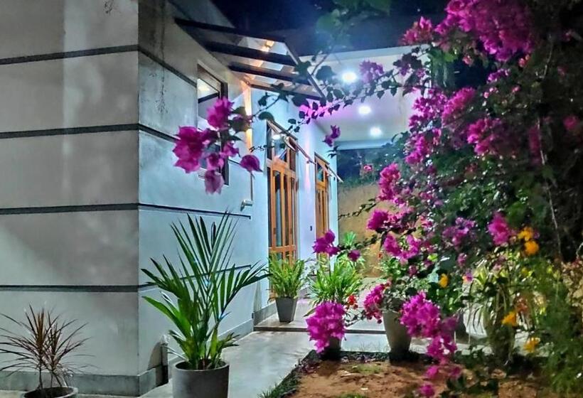 بنسيون Hey Lala Talalla